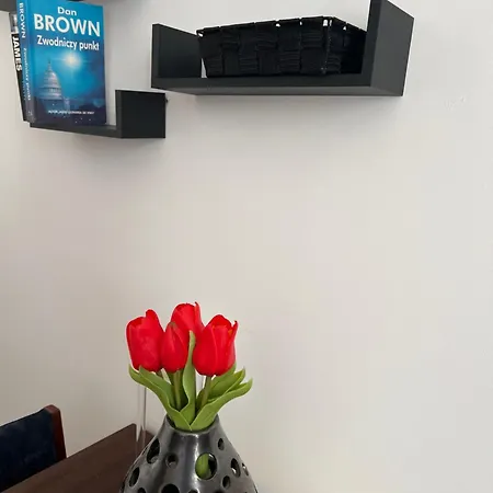 Apartment Wolnosc Elblag